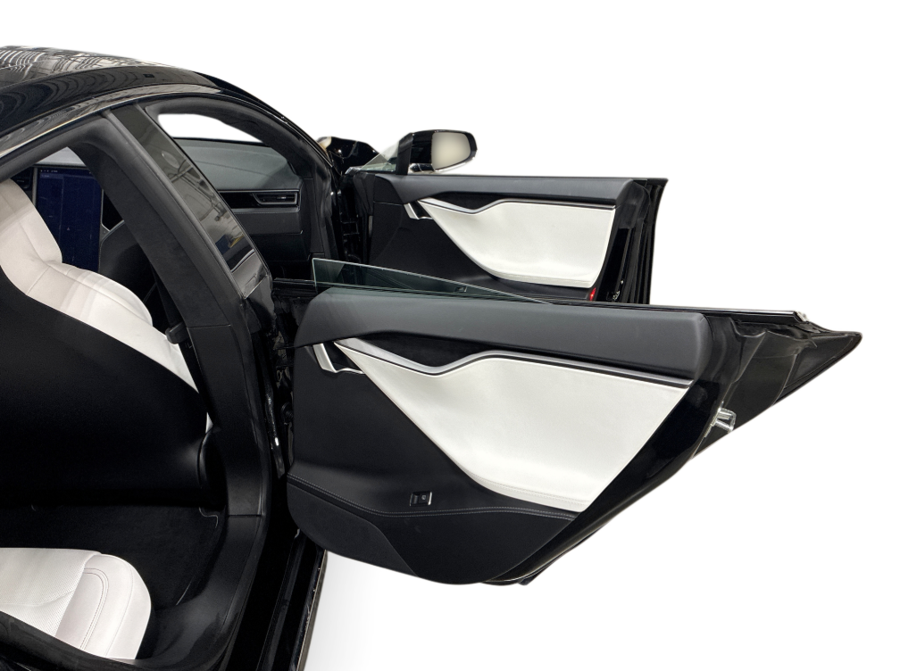Model S 100D Ludicrous Performance